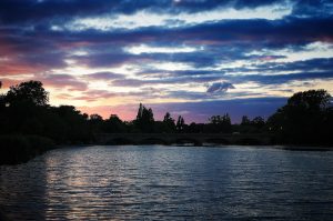 london flatshare, springboard barons court, london houseshare, young professional accommodation london, graduate accommodation london, flatshare london, all inclusive flatshare london, all inclusive graduate accommodation, accommodation london